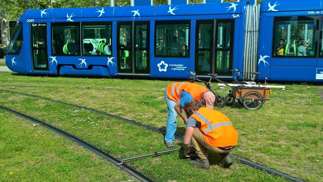 Tram de Montpellier - Diagnostic du réseau tram et programmation des investissements - 2017